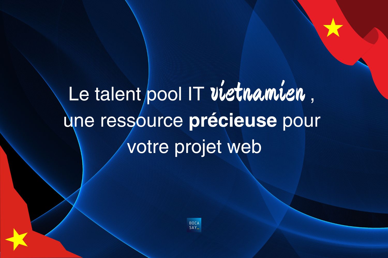 Le talent pool IT vietnamien une ressource précieuse pour votre projet web.