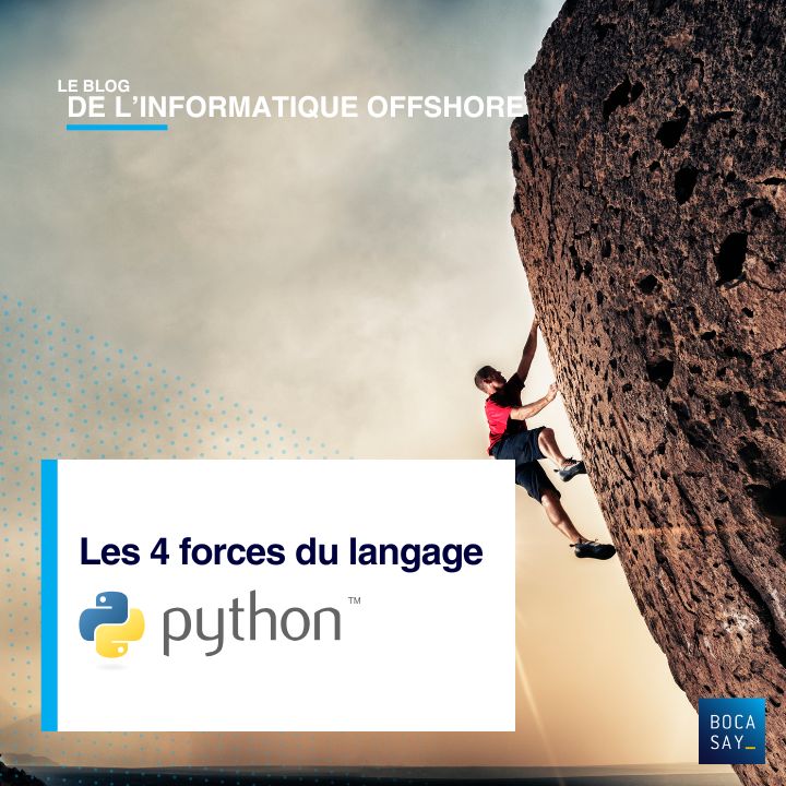 Les 4 forces du langage Python article rédigé par l'ESN offshore Bocasay