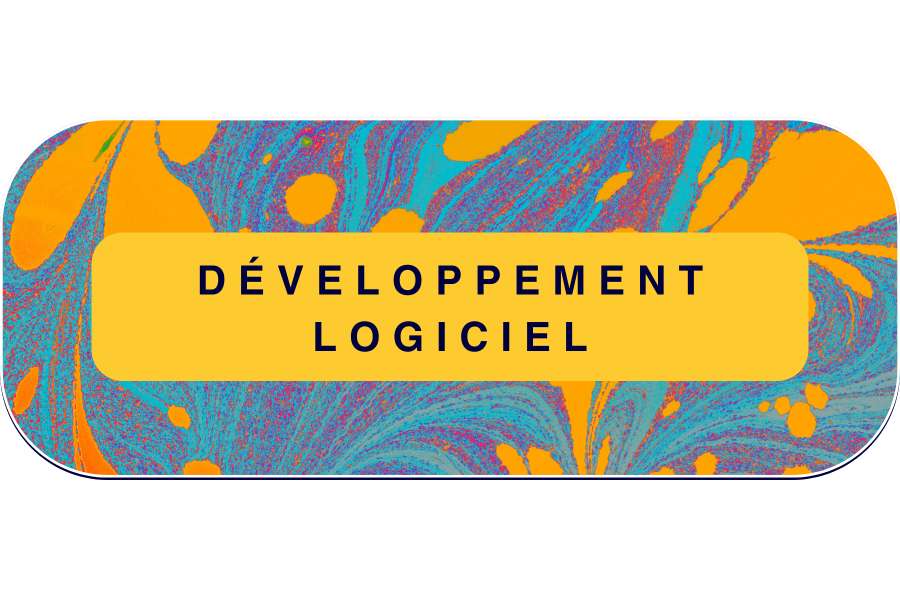 Développement logiciel à Maurice